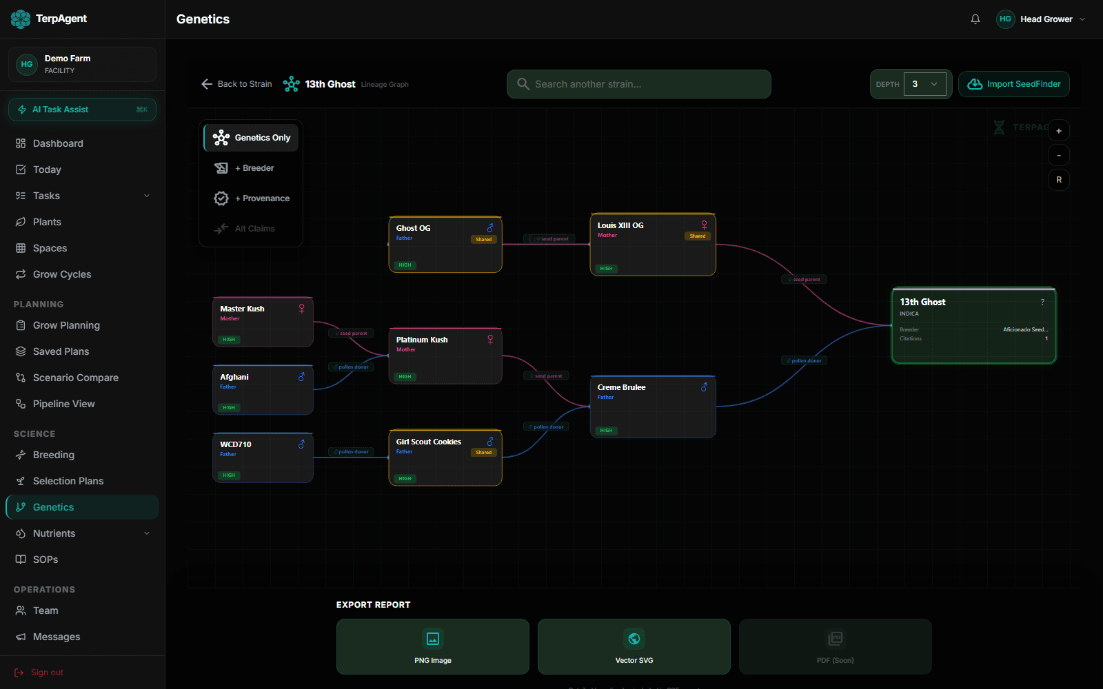 Full lineage graph of 13th Ghost strain